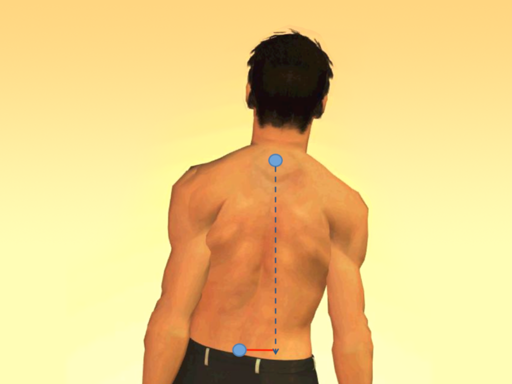 spinal loading